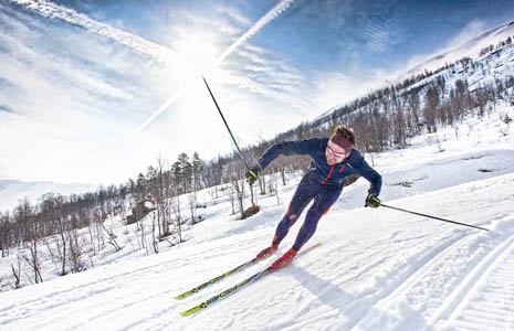 绿色无害健康的网站攻击软件工具